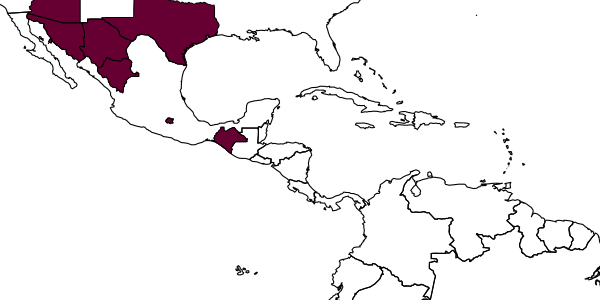 map of Alabagrus xolotl     Sharkey, 1988